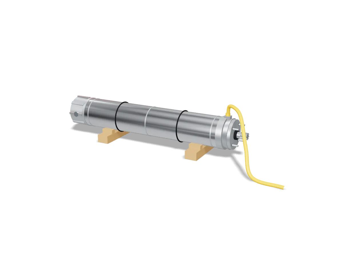 Submersible Motors